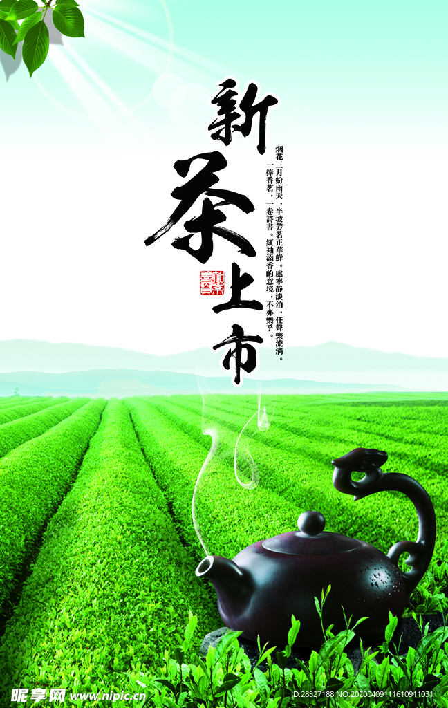 茶