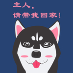 狗狗求带走