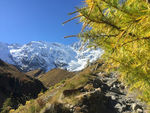山