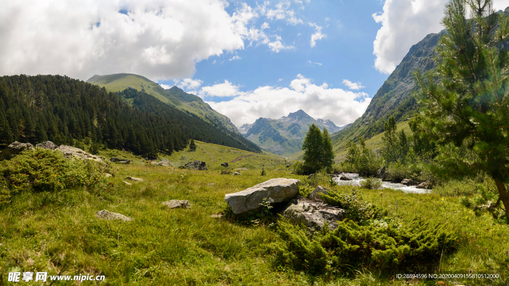 山