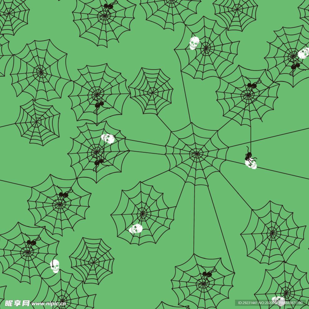 蜘蛛网