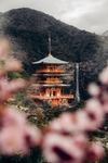 亭台楼阁