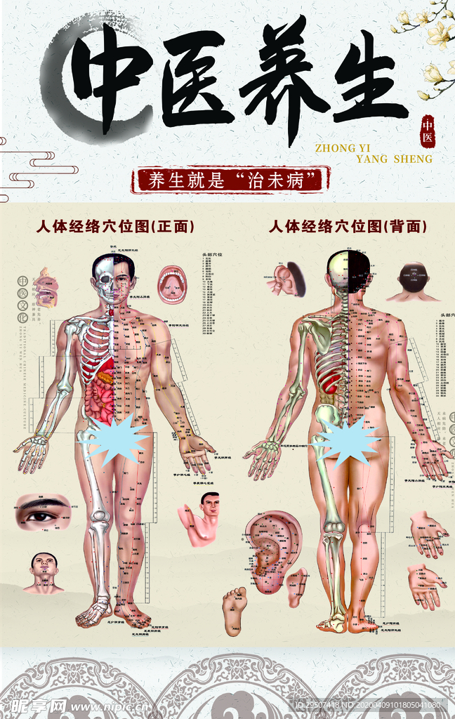 经络 穴位 按摩 中医 养生