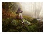 魔幻深林