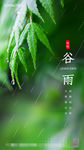 绿色谷雨二十四节气手机页面
