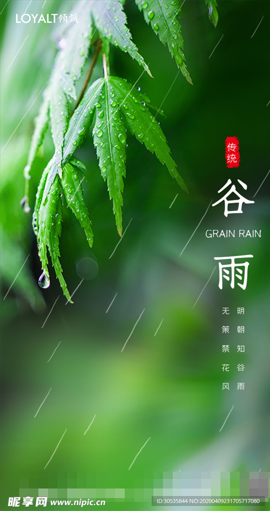 绿色谷雨二十四节气手机页面