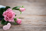 玫瑰花
