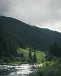山森林小溪