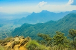 远山森林