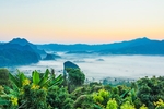 远山森林