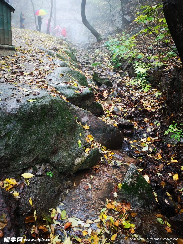 秋山夜雨