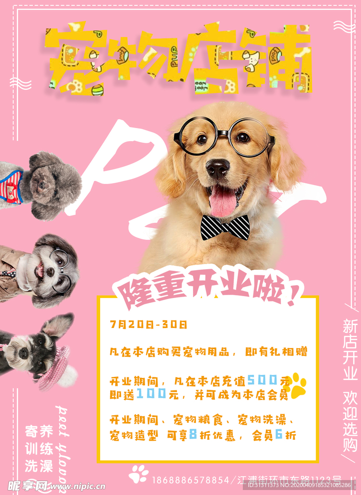 宠物