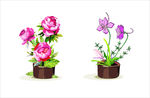 花