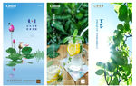 夏至 节气