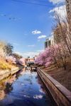 调色后的小区风景