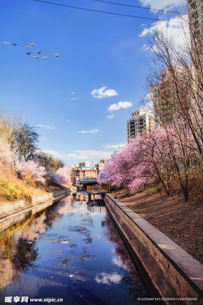 调色后的小区风景