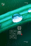 谷雨