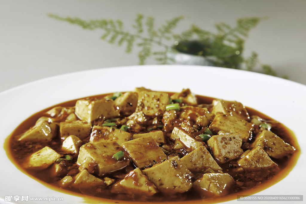麻婆豆腐