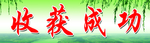 收获成功