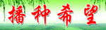 播种希望