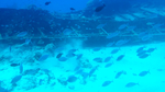 海底世界
