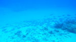 海底世界