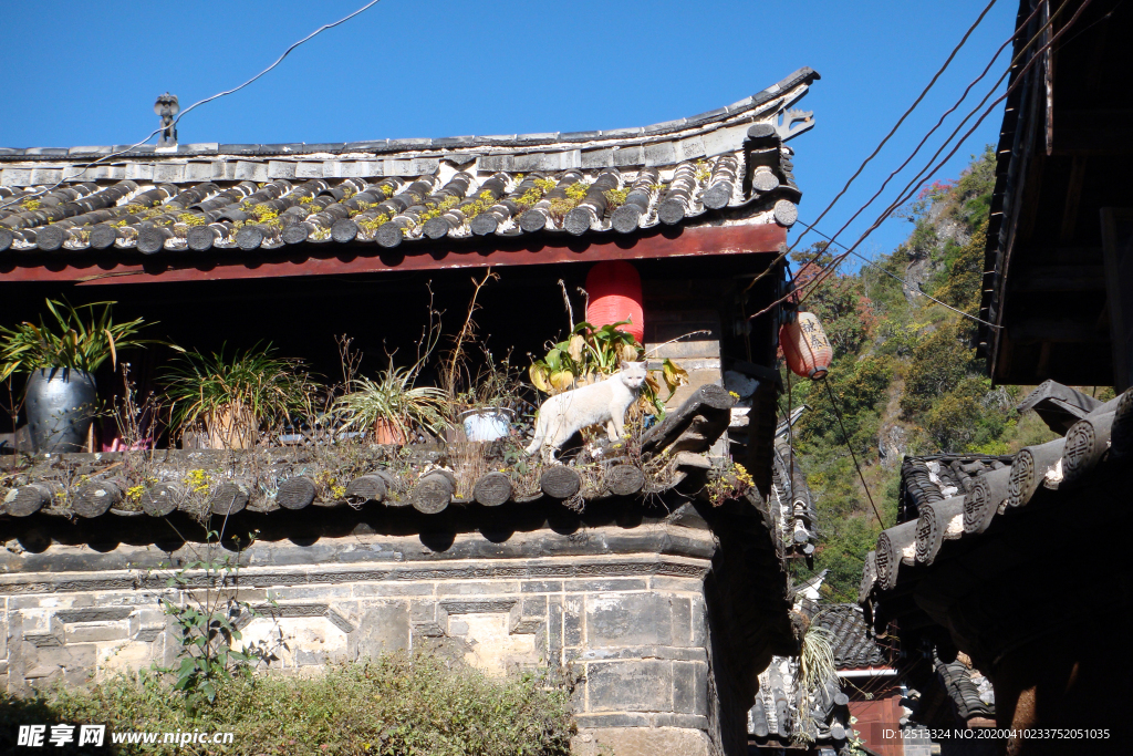 丽江古城