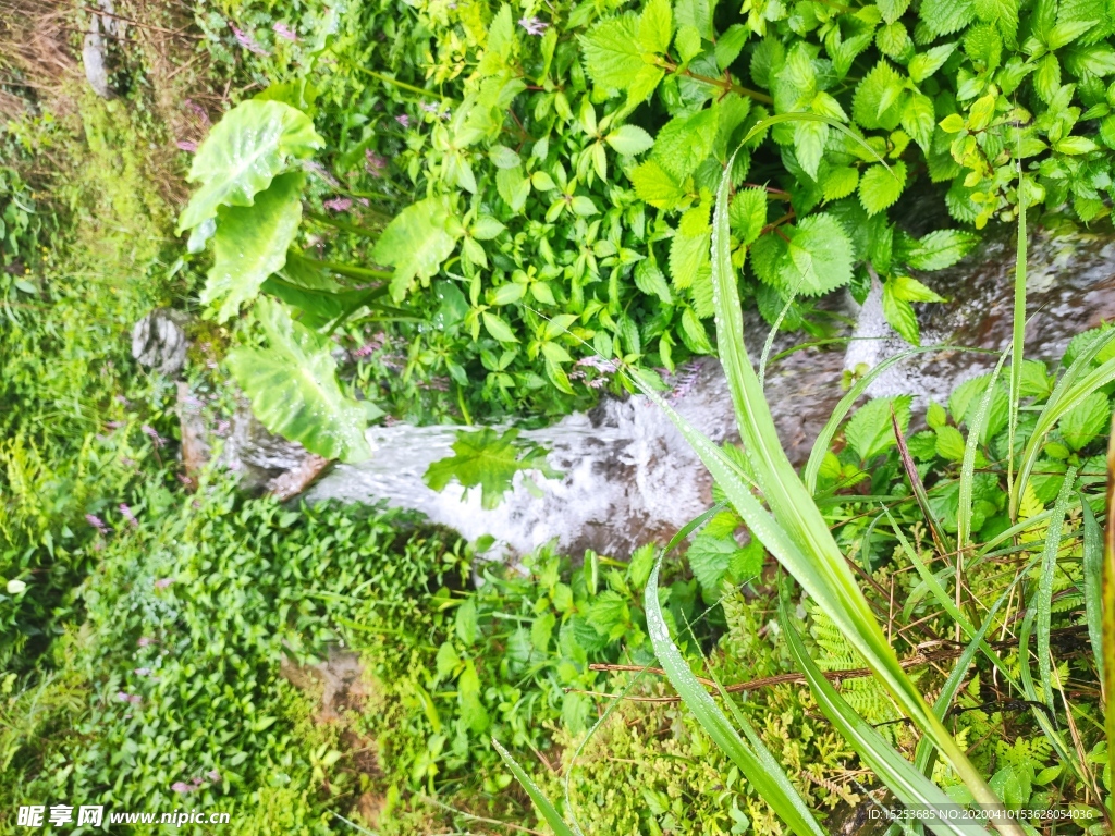 流水