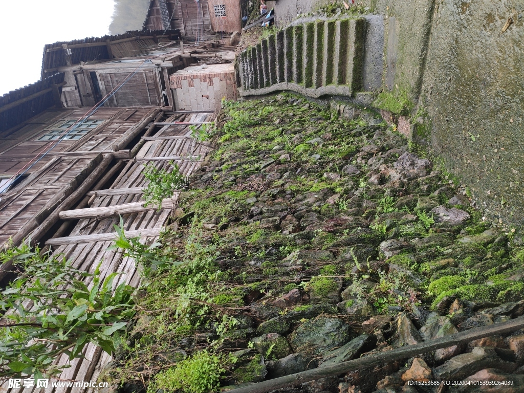 台阶小路