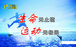 运动