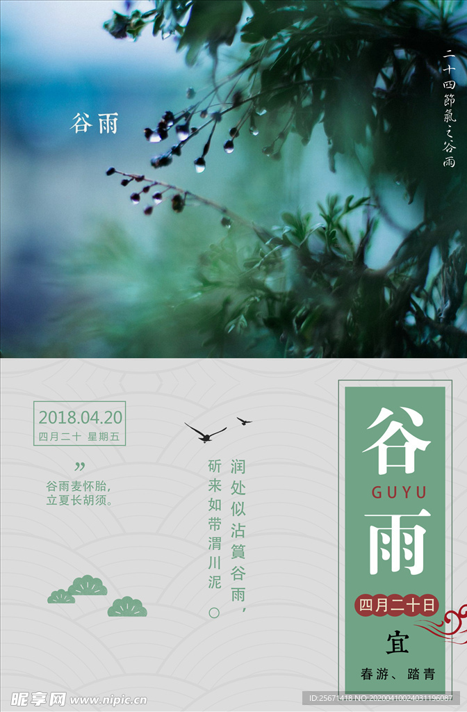 谷雨