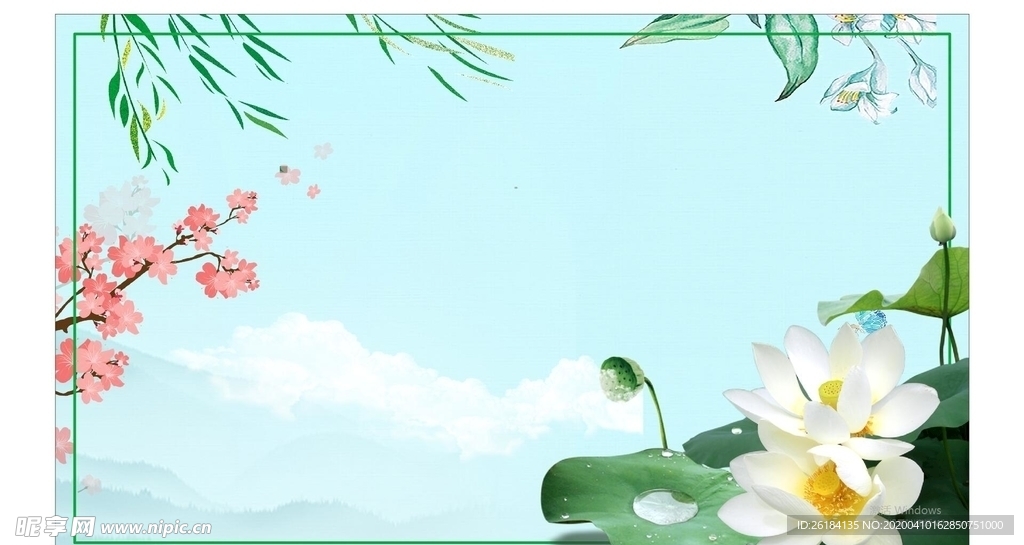 荷花画面