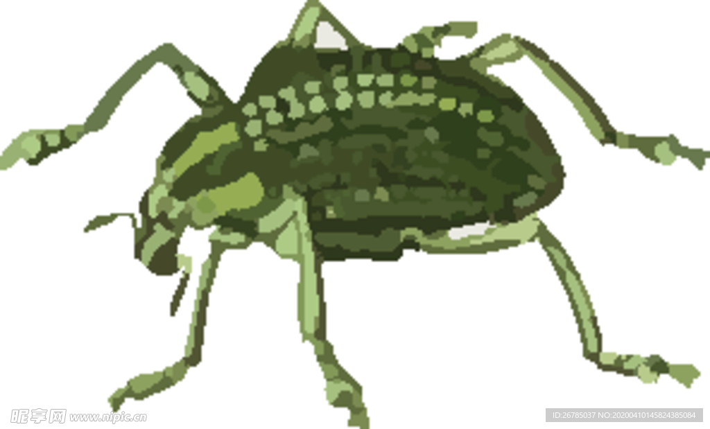 蚜虫昆虫插画