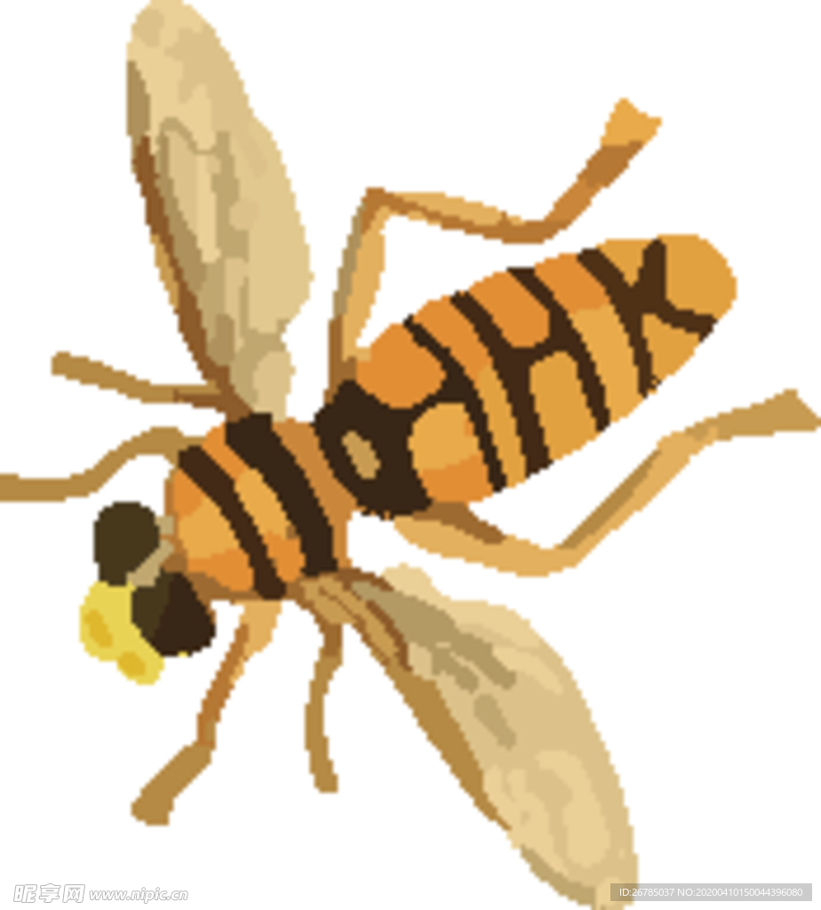 蜜蜂昆虫插画