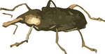 米虫昆虫插画