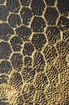 金箔画