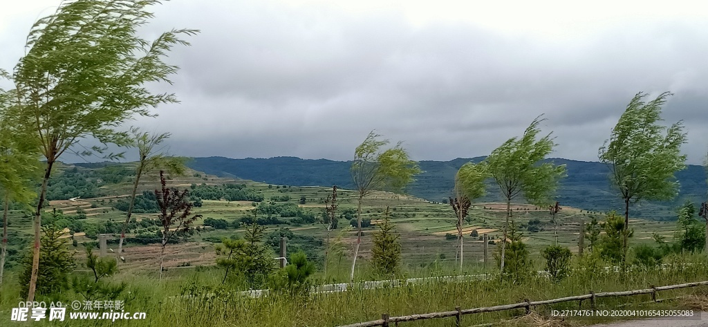 麦地 阴天 高山 山丘 草地