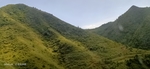 麦地 阴天 高山 山丘 草地