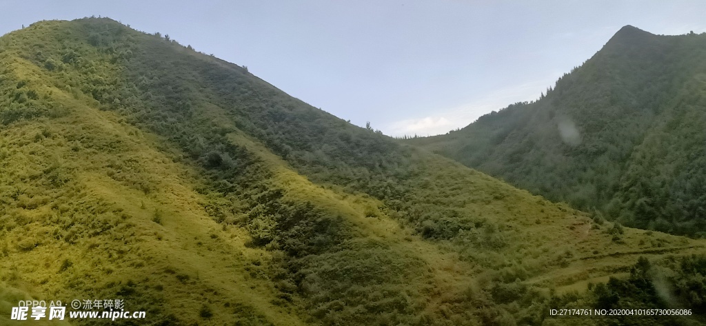 麦地 阴天 高山 山丘 草地