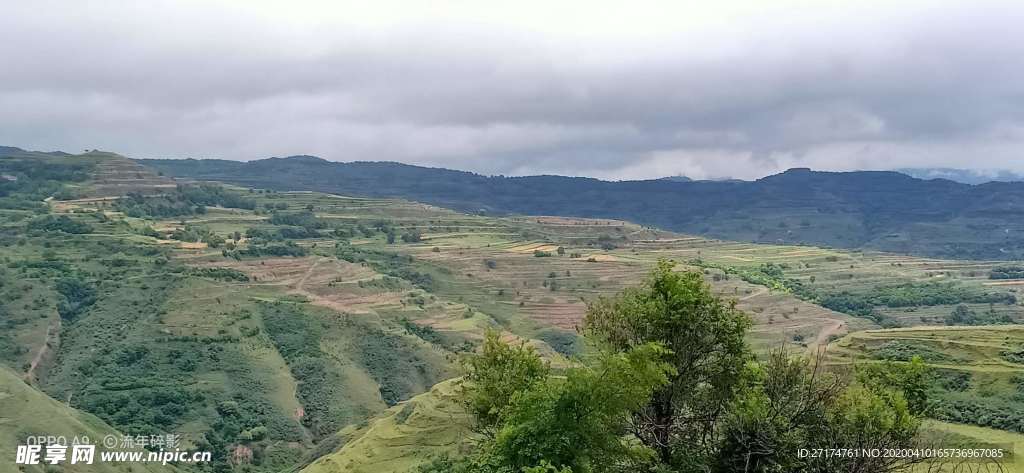 阴雨天 草地 农村 村庄