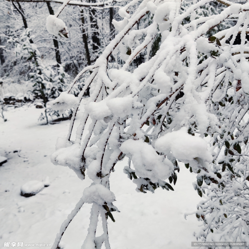 雪