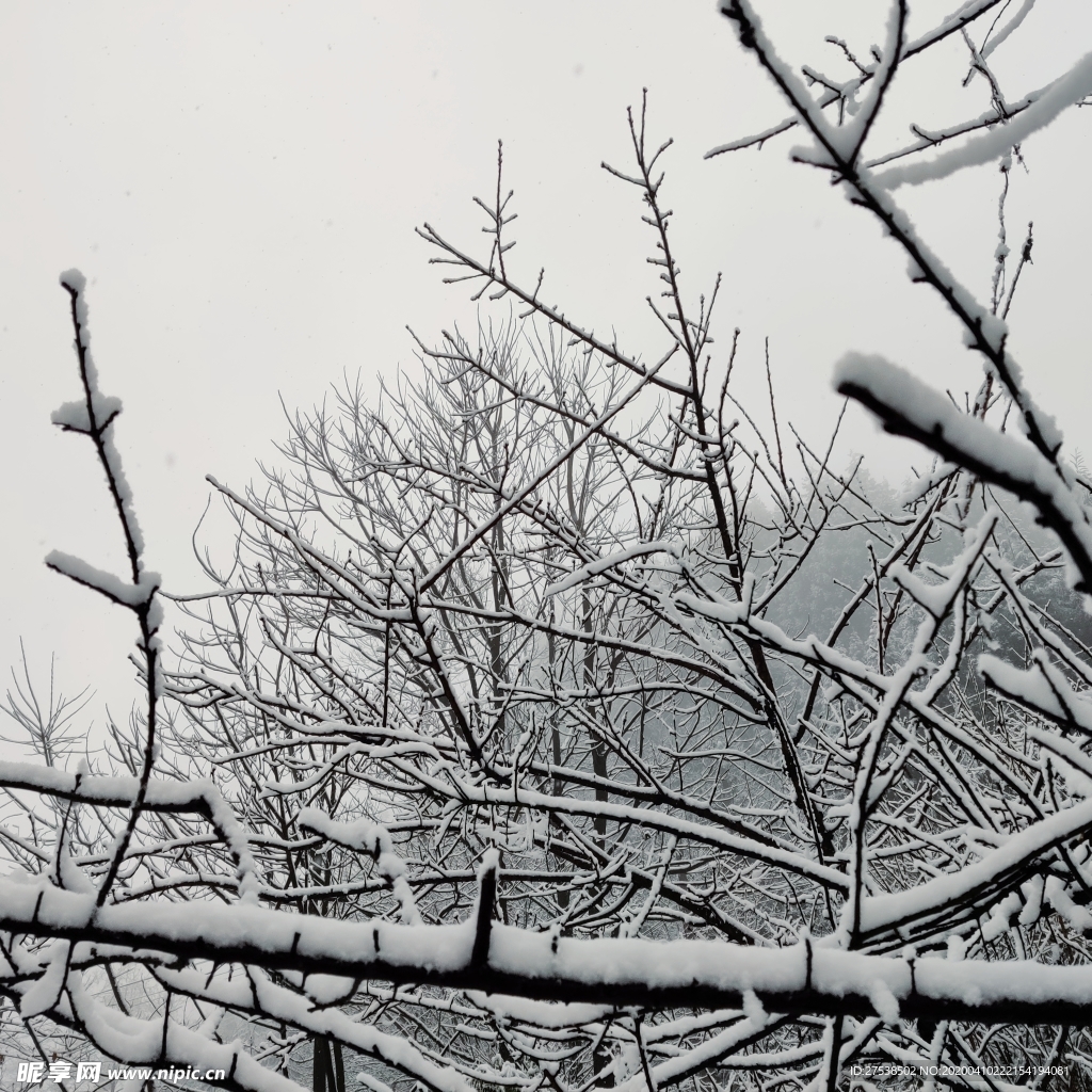 雪