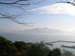 雾天