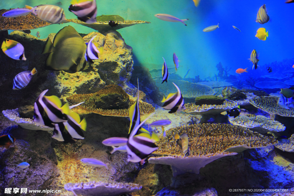 水族馆