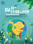 保护珍稀动物