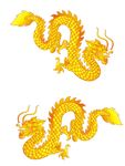 龙