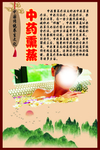 中华传统养生文化之中药熏蒸