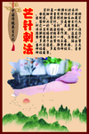 中华传统养生文化之芒针刺法