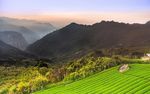 天空 田园 旅行 自然