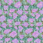 服装印花   潮牌欧式